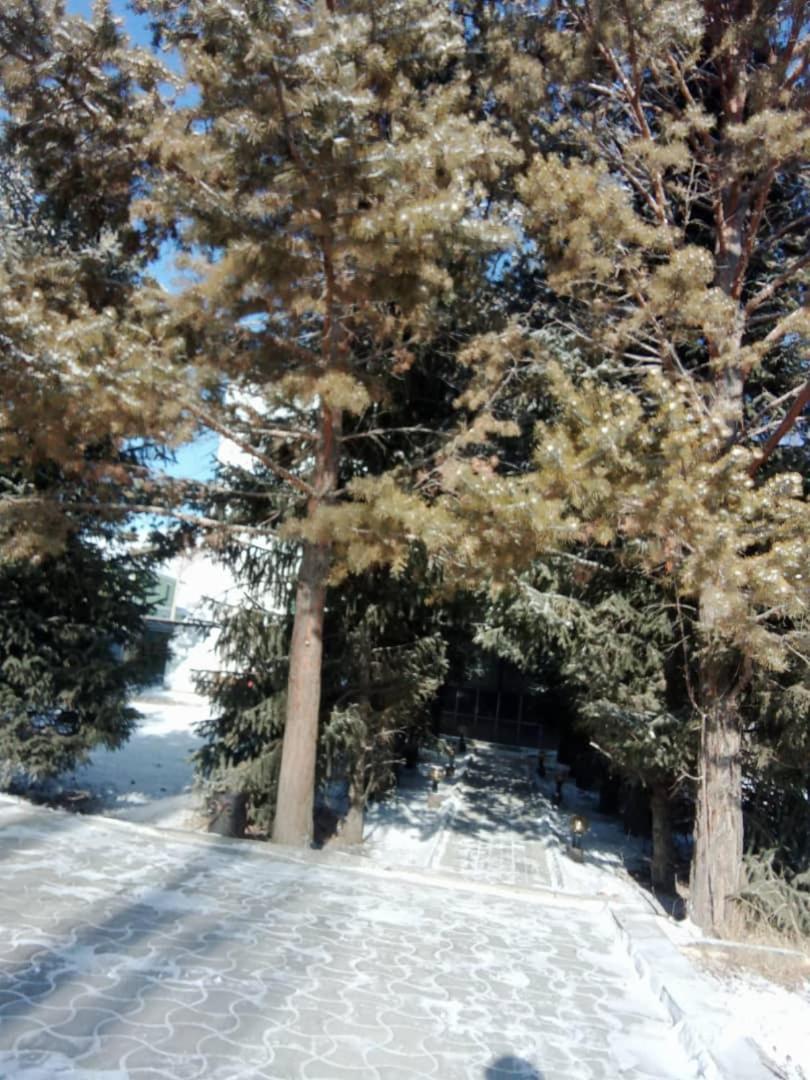 Aska Hotel Naryn Екстериор снимка